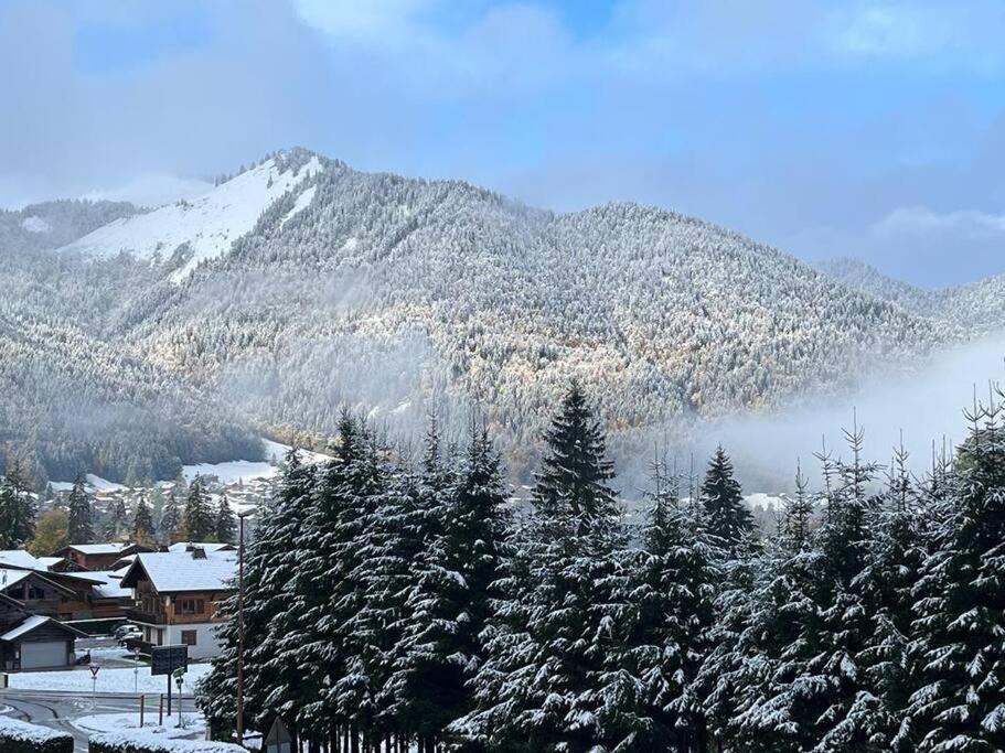 Les Chalets De Montriond B101 ภายนอก รูปภาพ